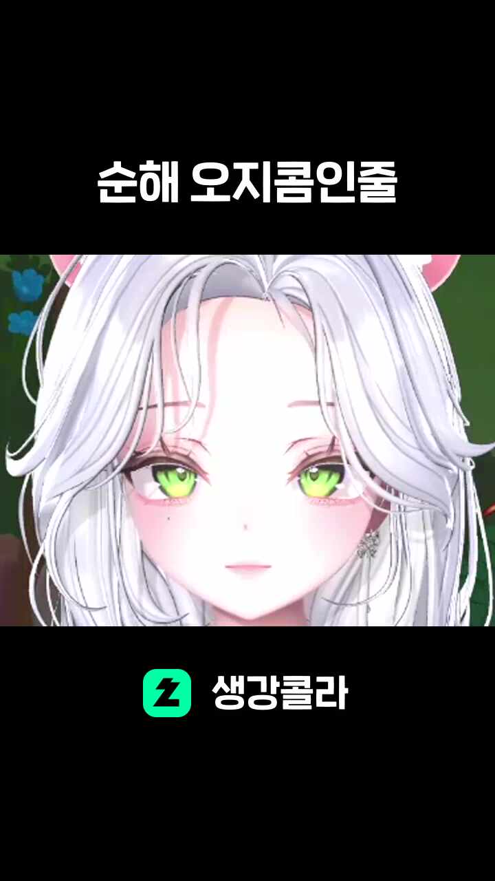 순해 오지콤인줄