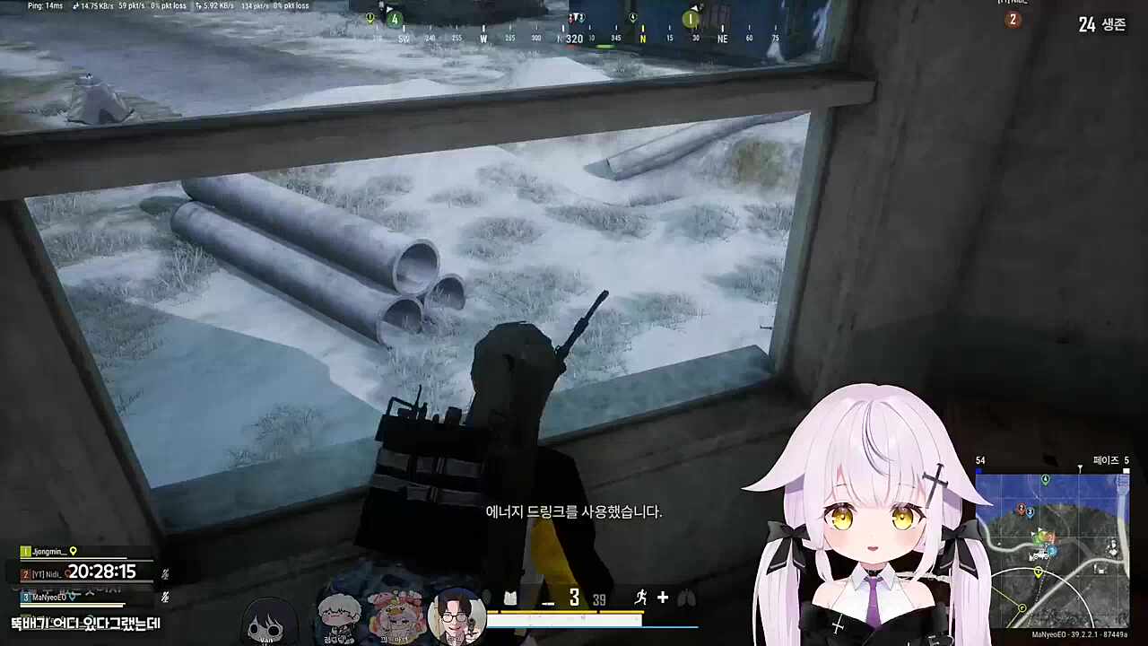 이쯤되면 돼지가 본체 아님?