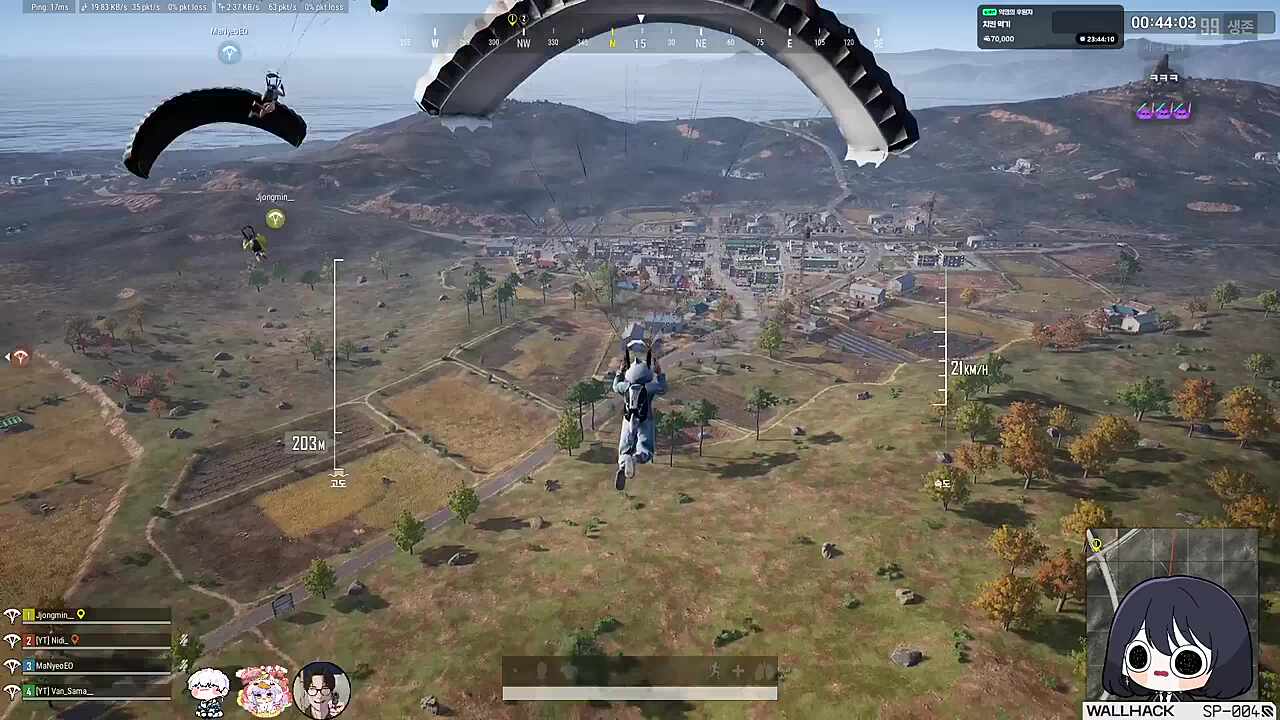 오늘 개가 된 사연