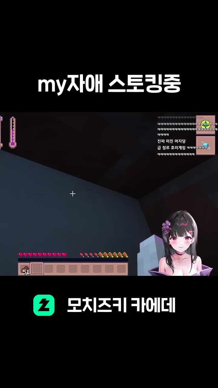 my자애 스토킹중