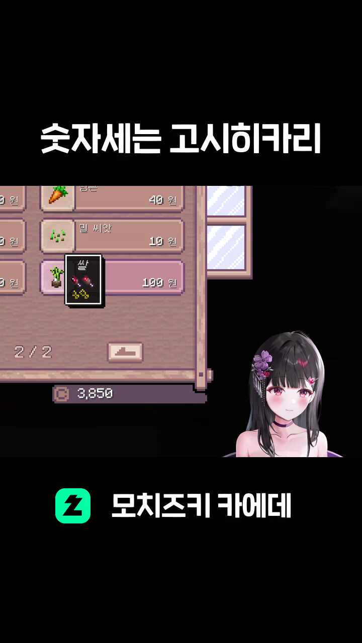 숫자세는 고시히카리