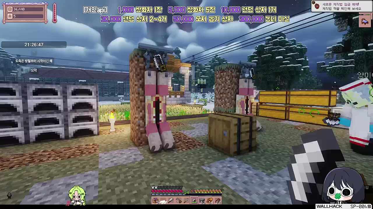 양 도축하는 반님과 양메이