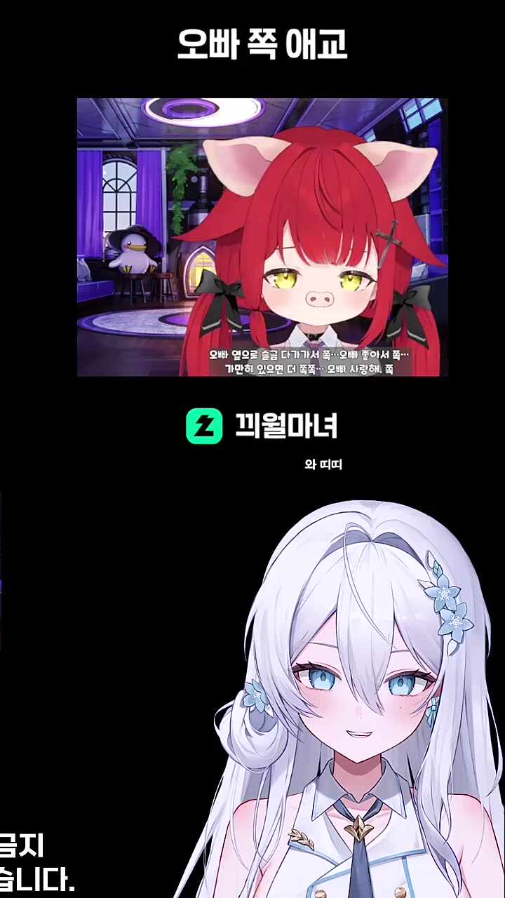 마뇨 쪽 애교 반응