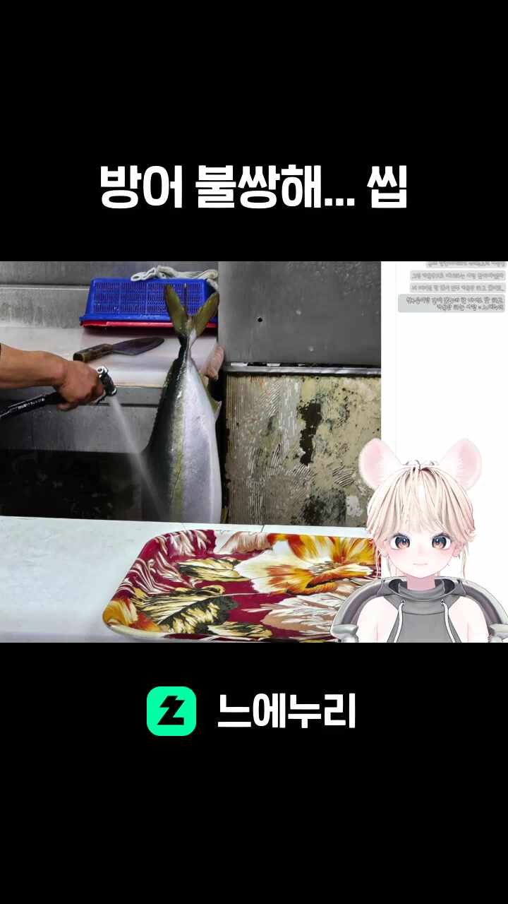 방어 불쌍해... 씹