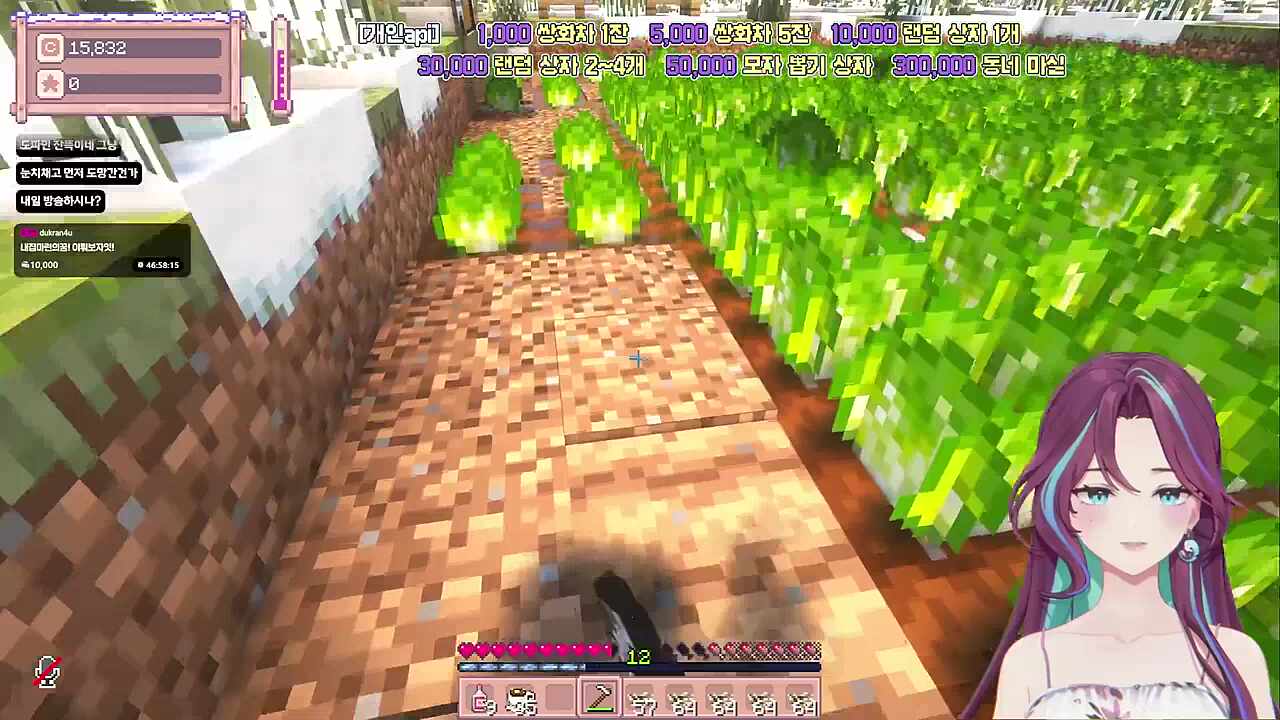 주인공이 된 위도