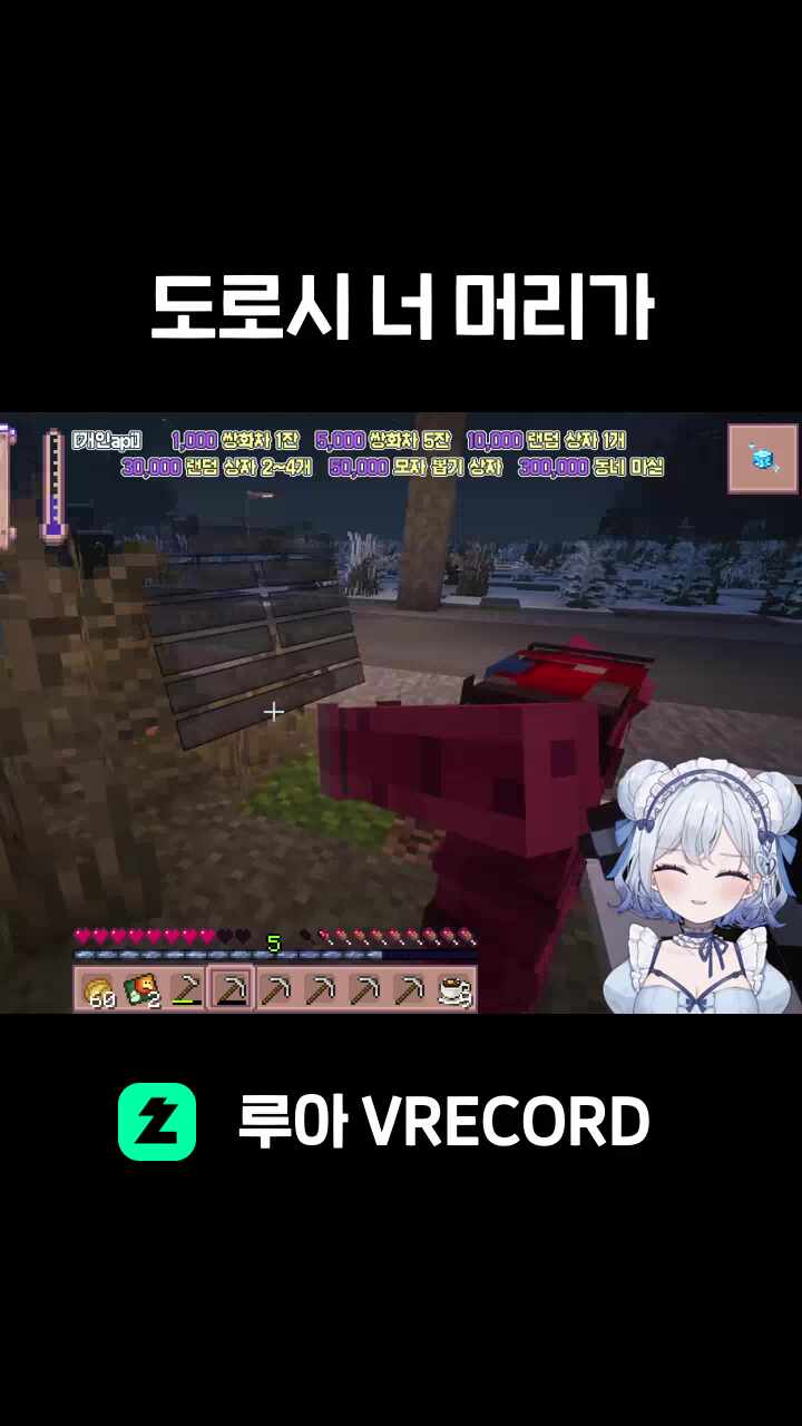 도로시 너 머리가