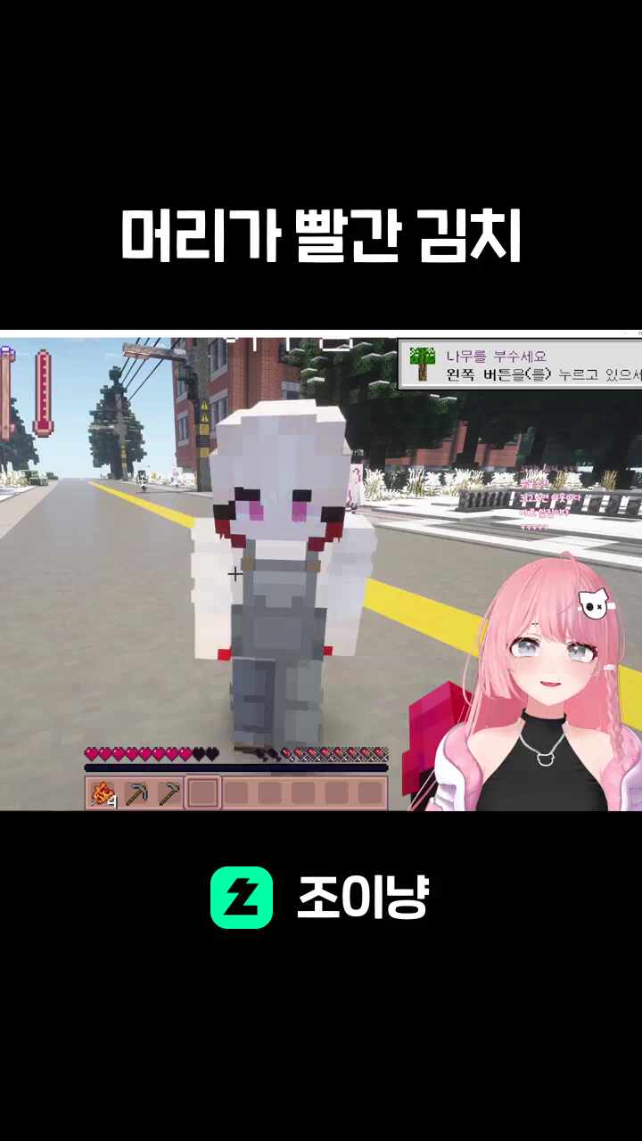 머리가 빨간 김치