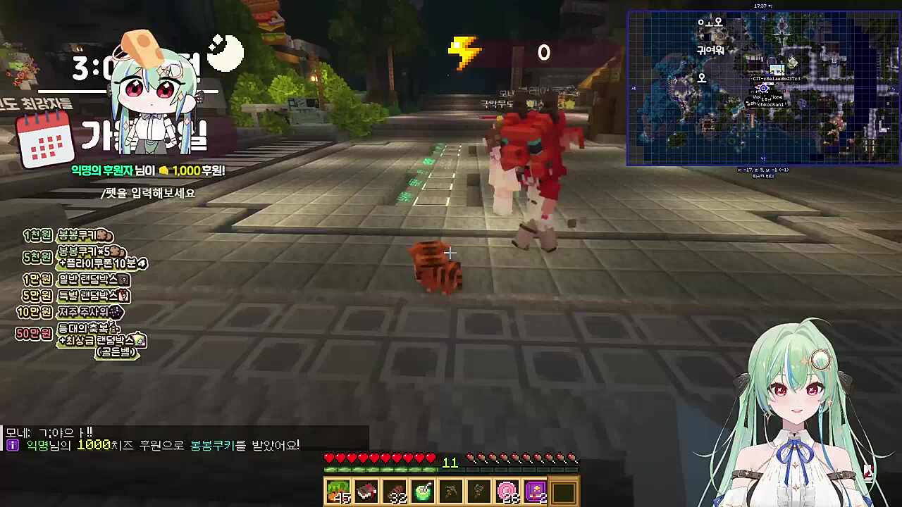 키유가 뽑은 펫 호랑이