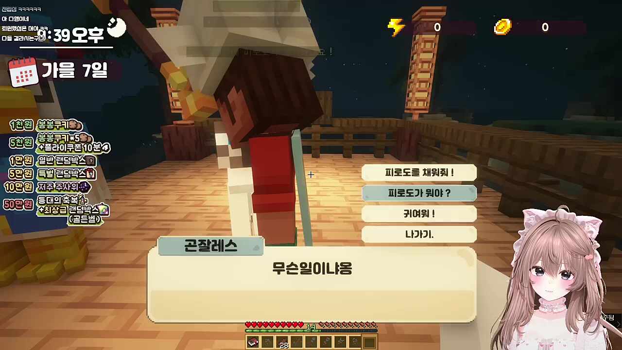 장마군의 고양이