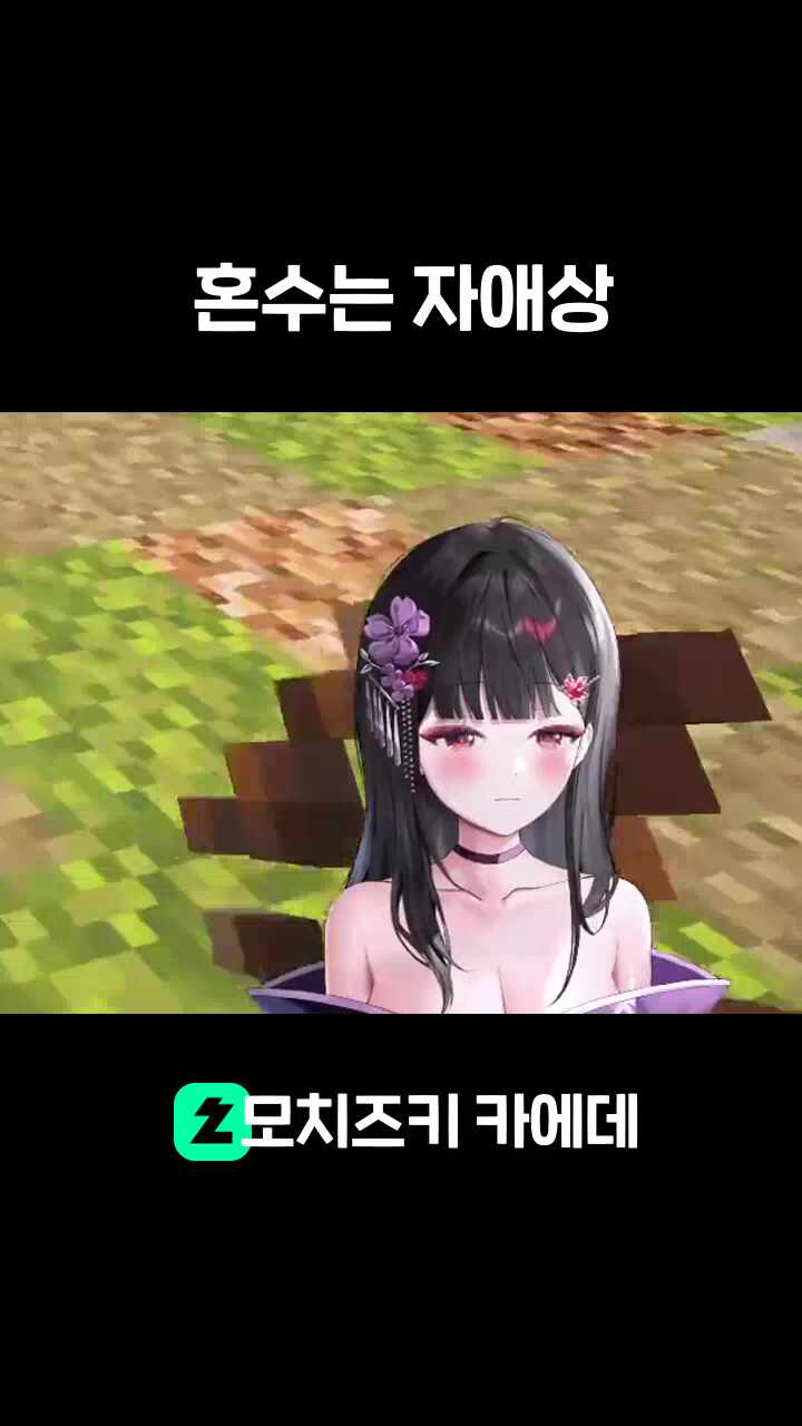 혼수는 자애상