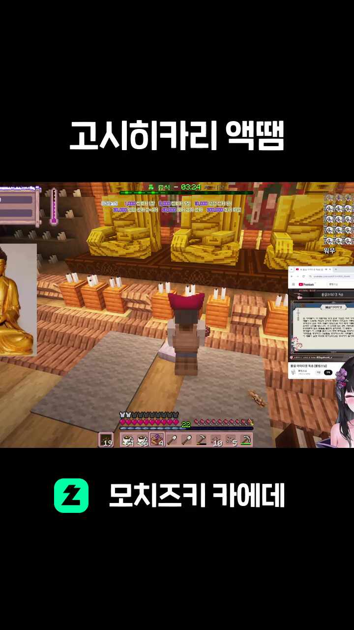 고시히카리 액땜