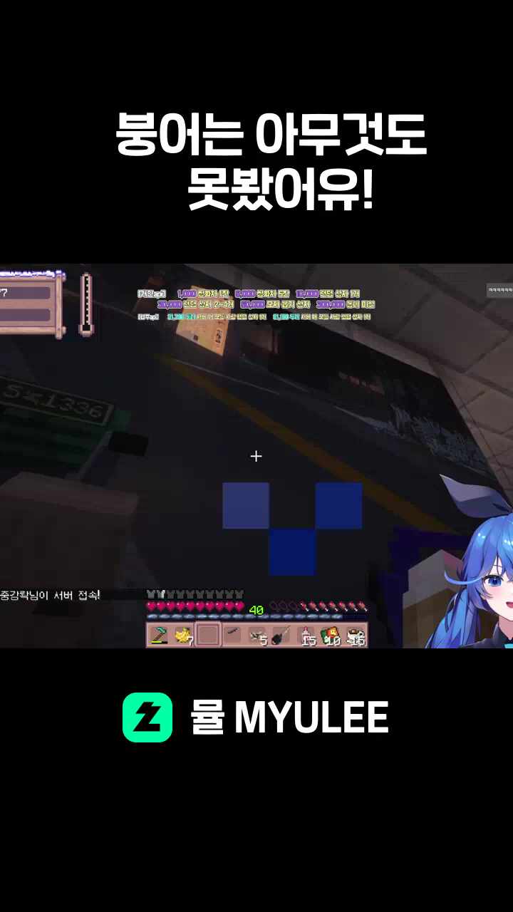           붕어는 아무것도            못봤어유!