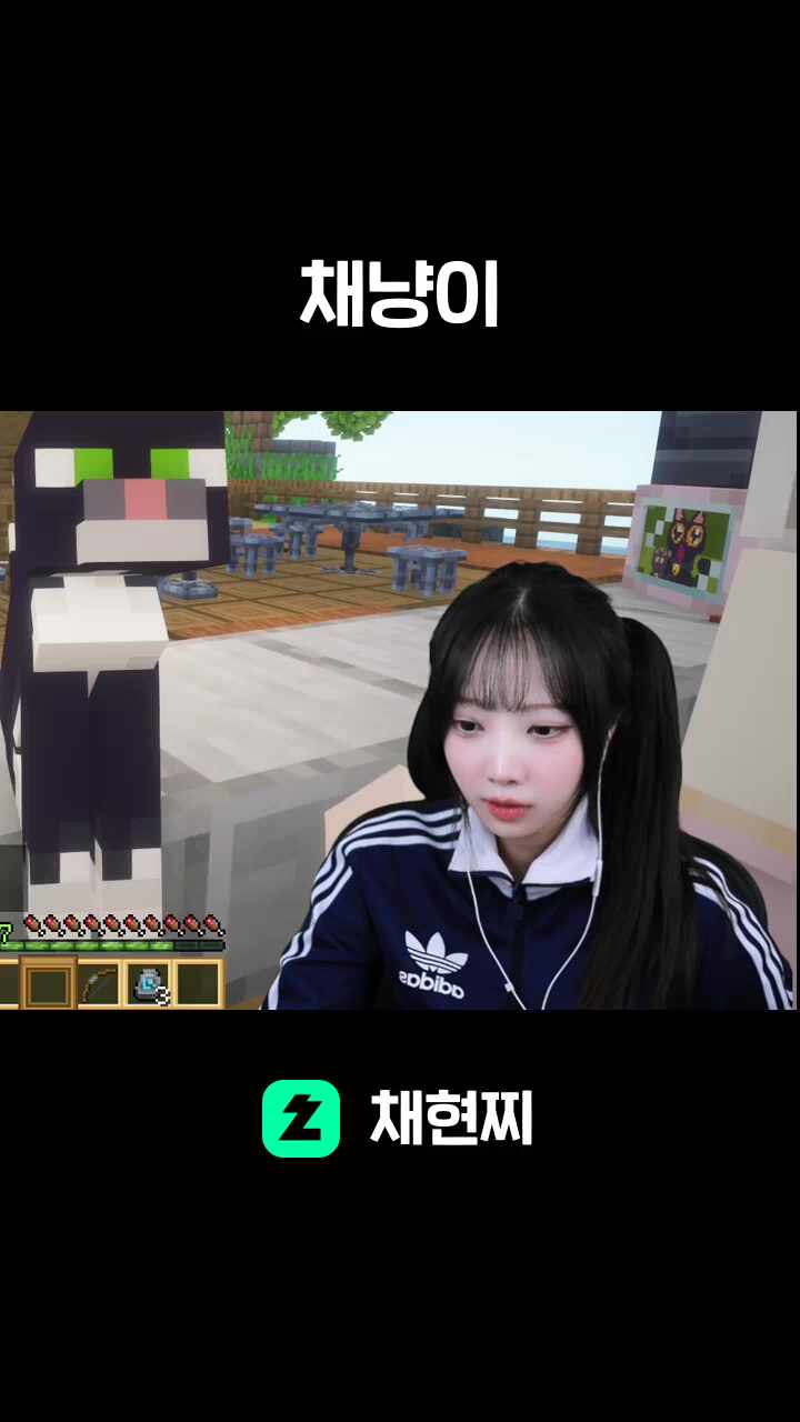 채냥이