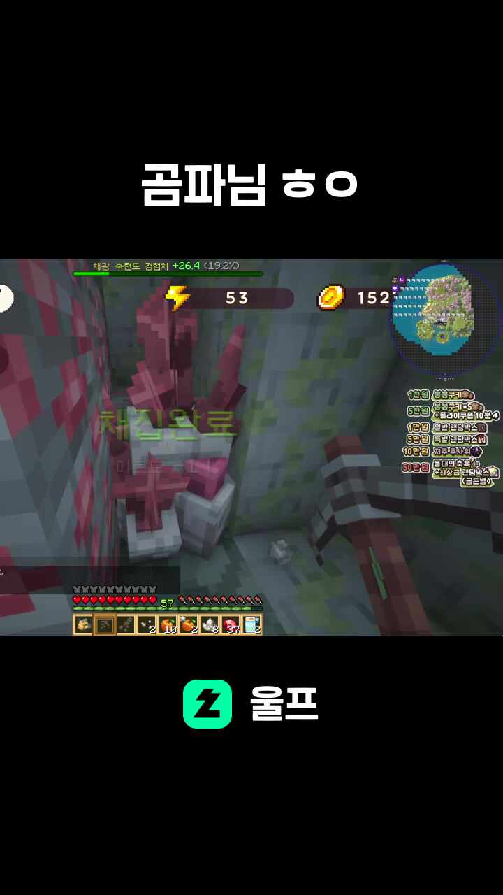 곰파: 목소리가 젊네 초등학생 같아