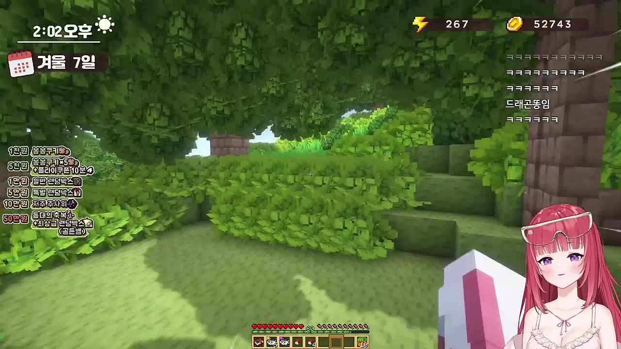 고양이가 된 쥐운영자