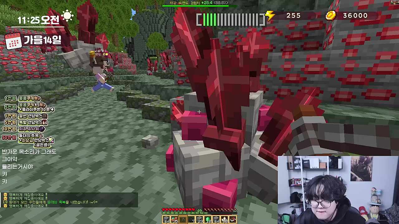 쿵짝 존나 잘맞는 불끼레끼 ㅋㅋㅋㅋㅋㅋ