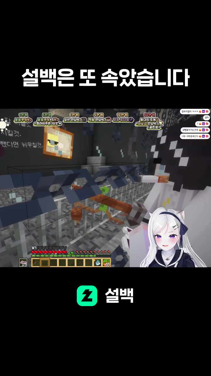 설백은 또 속았습니다