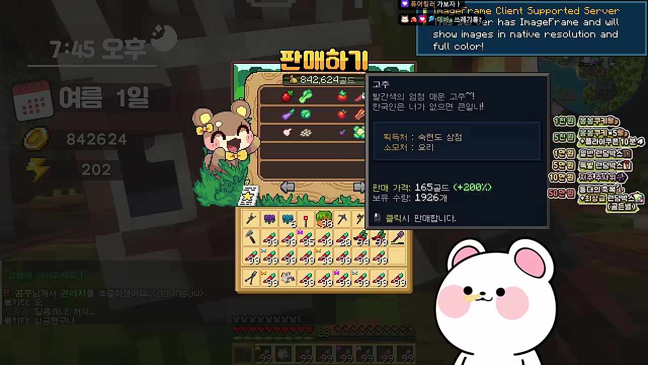 고추 가격 바로 정상화