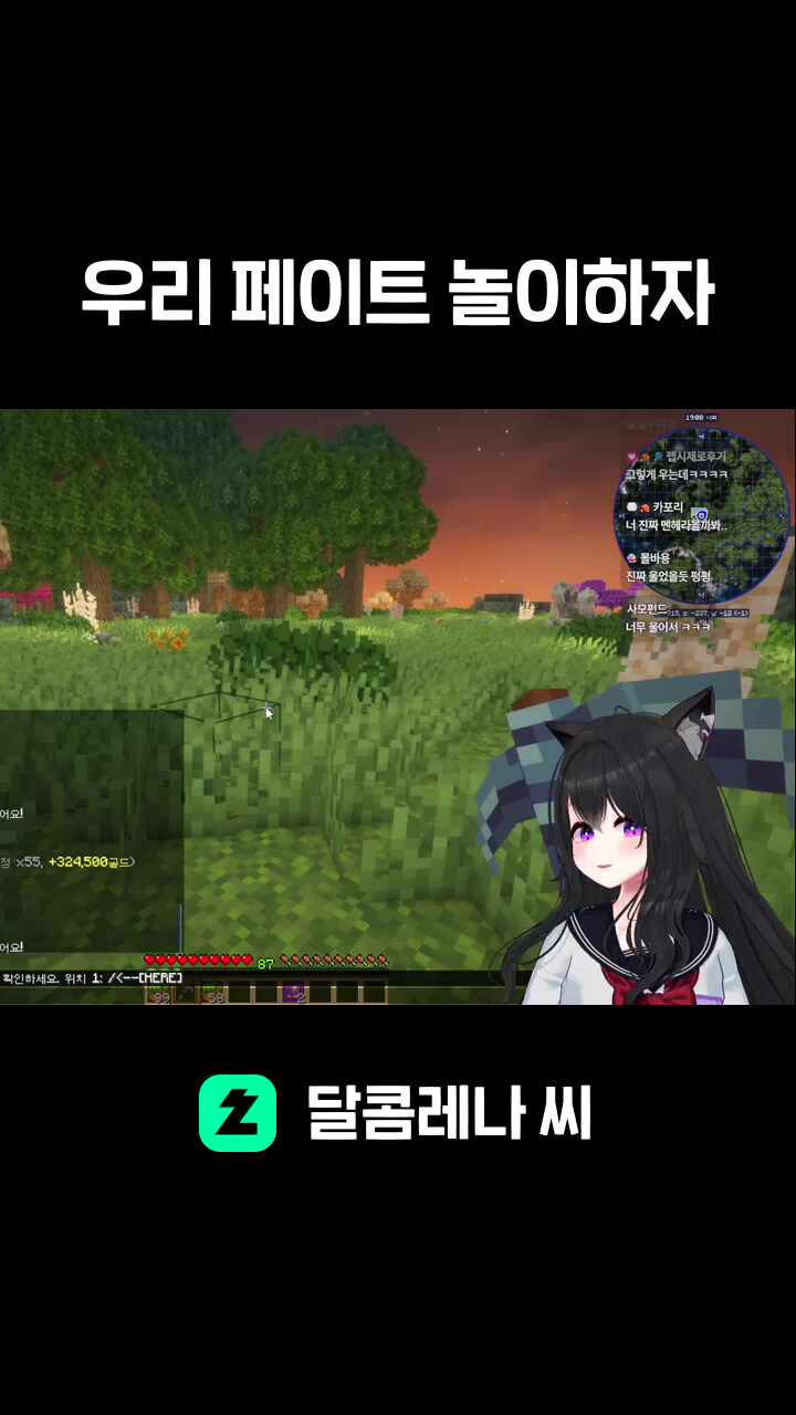 우리 페이트 놀이하자