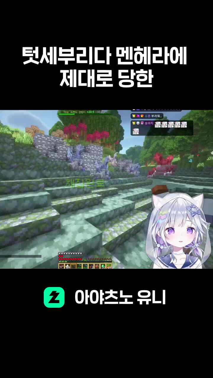 텃세부리다 멘헤라에 제대로 당한