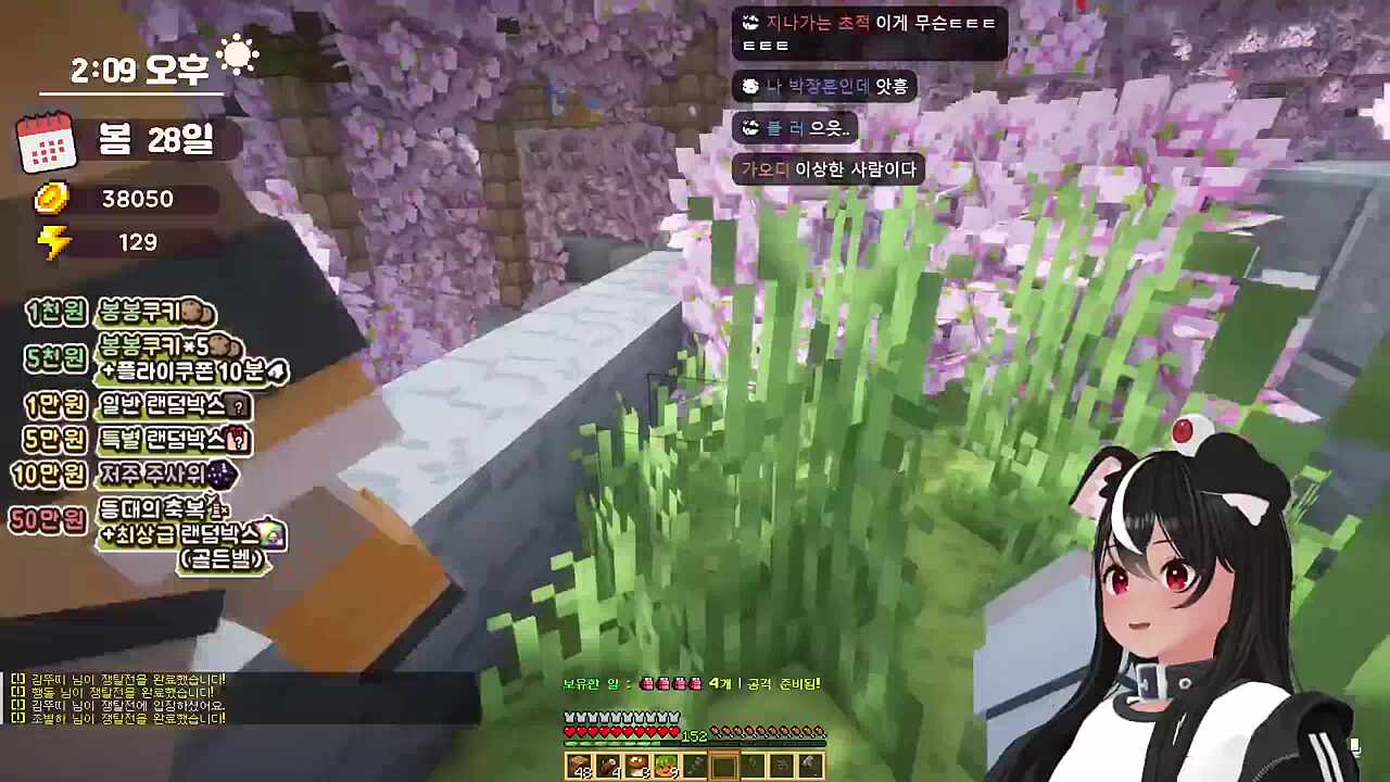 계란 우승 매드무비