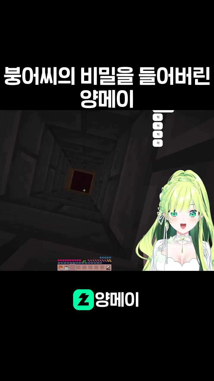 붕어씨의 비밀을 들어버린 양메이