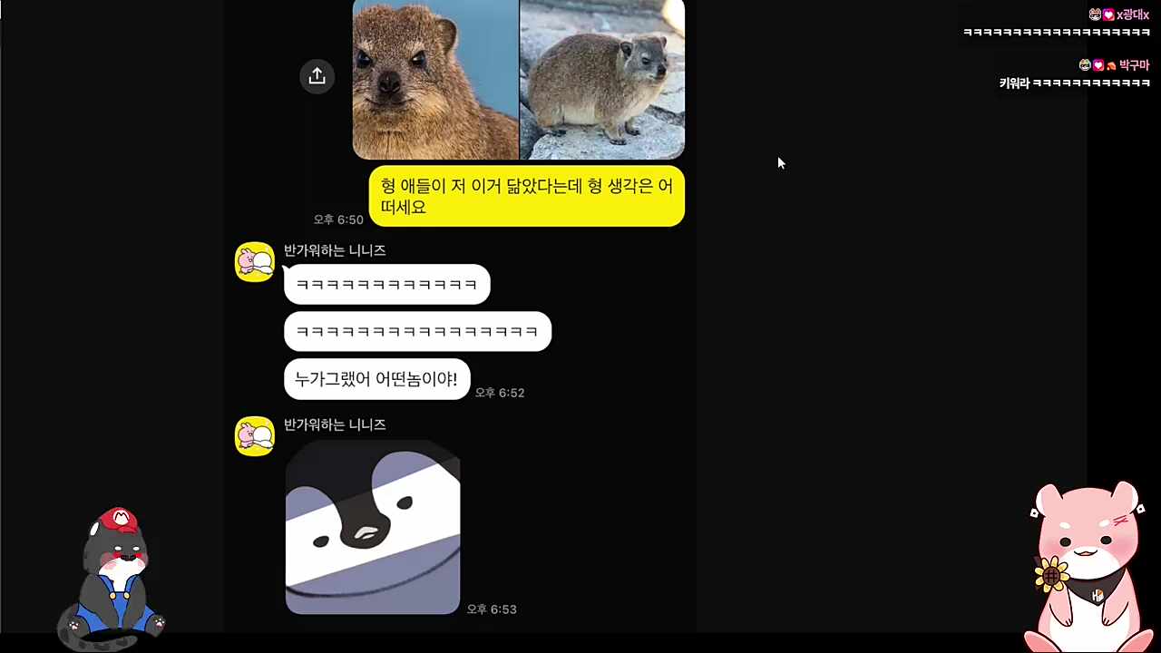 하루랑 똑닮은 사진 찾아서 신난 사장 ㅋㅋㅋㅋ