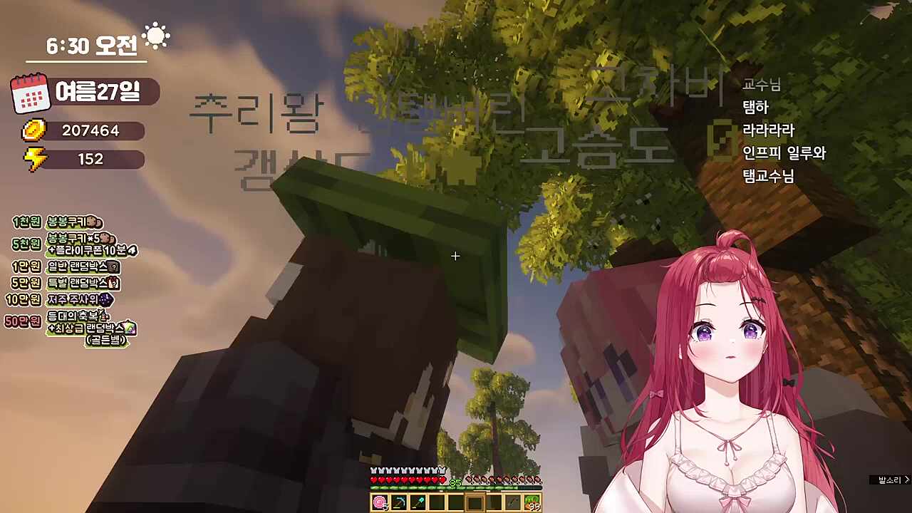 고차비탬탬의 고급정보