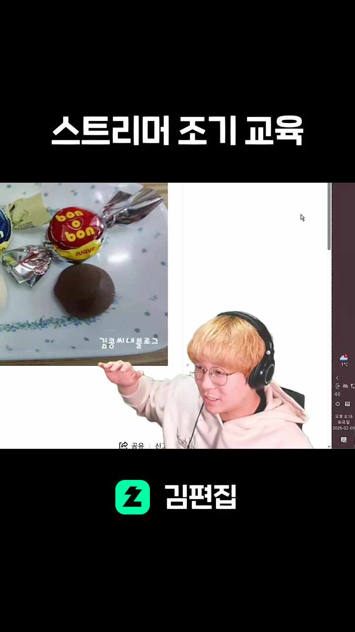 스트리머 조기 교육