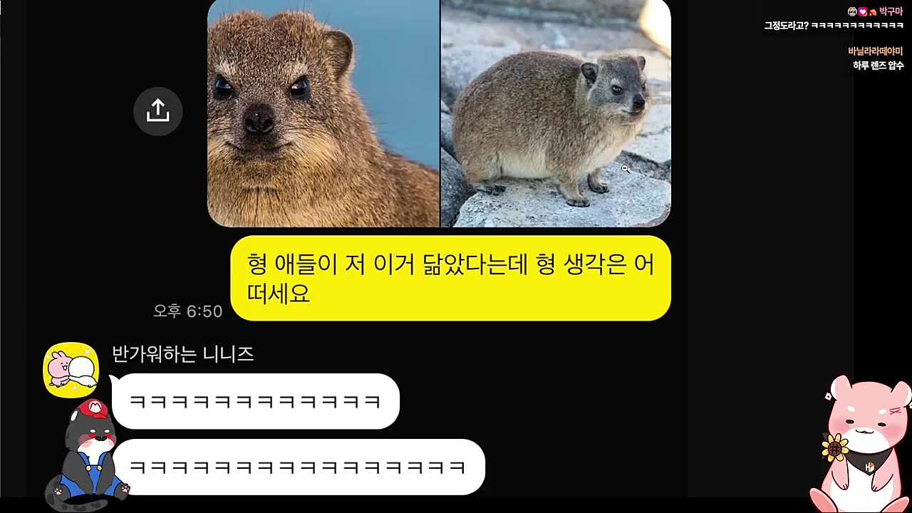 하루가 렌즈끼는 게 안 어울린다는 사장 ㅋㅋㅋㅋ