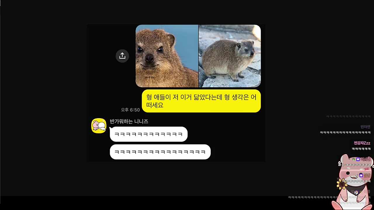 사장한테 바위너구리 닮았냐고 물어본 하루 ㅋㅋㅋㅋㅋ