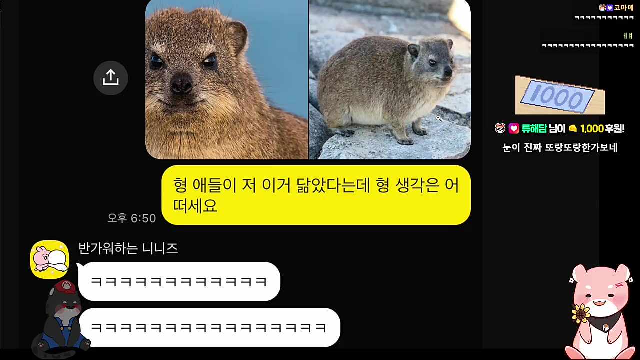 제하제하
