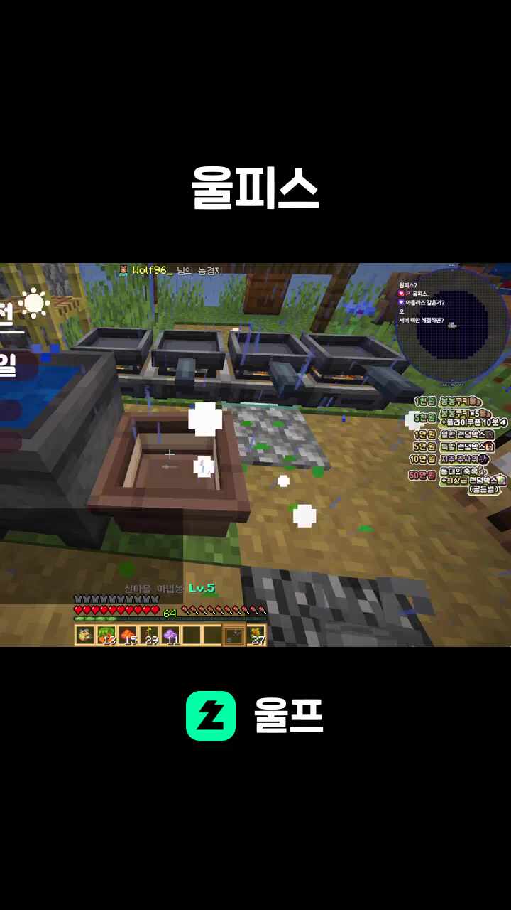 마크 대항해 서버 열어주는거야??