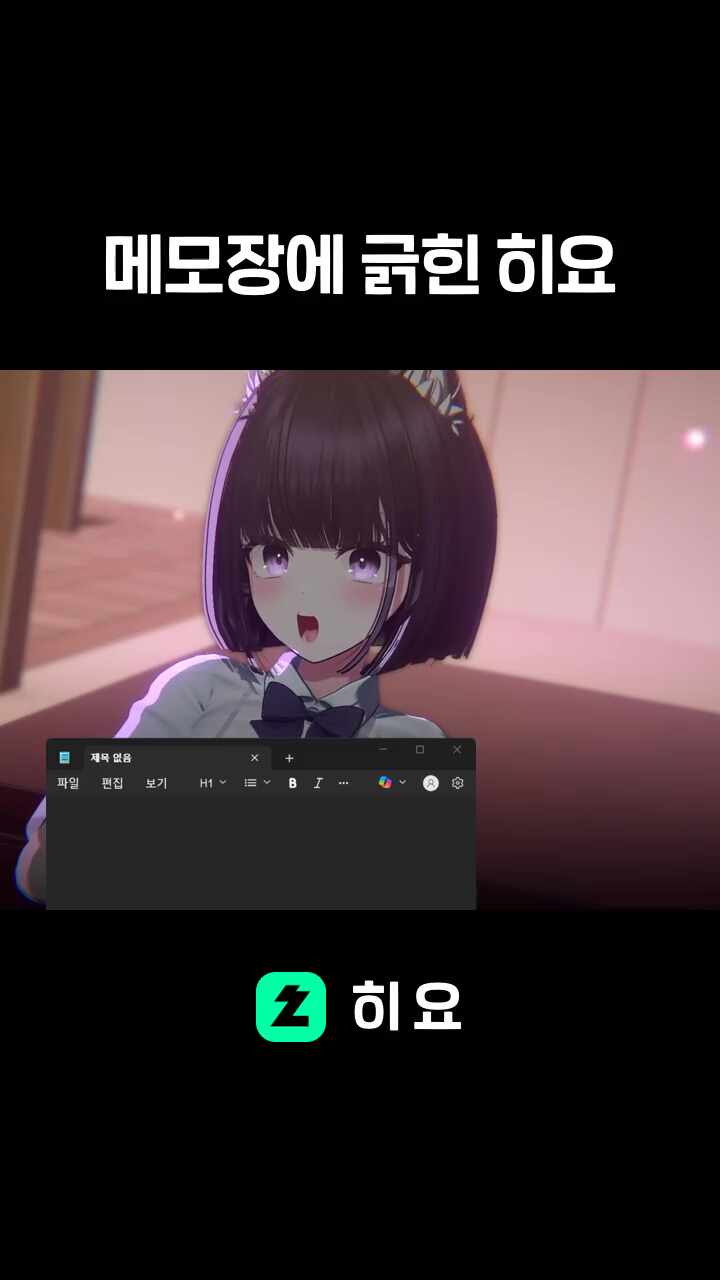 메모장에 긁힌 히요