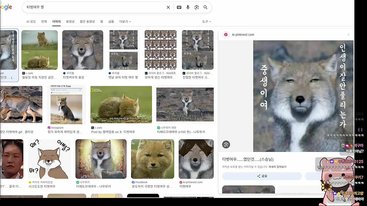 티벳여우 짤이랑 잘 어울린다는 늦잠이 ㅋㅋㅋㅋ