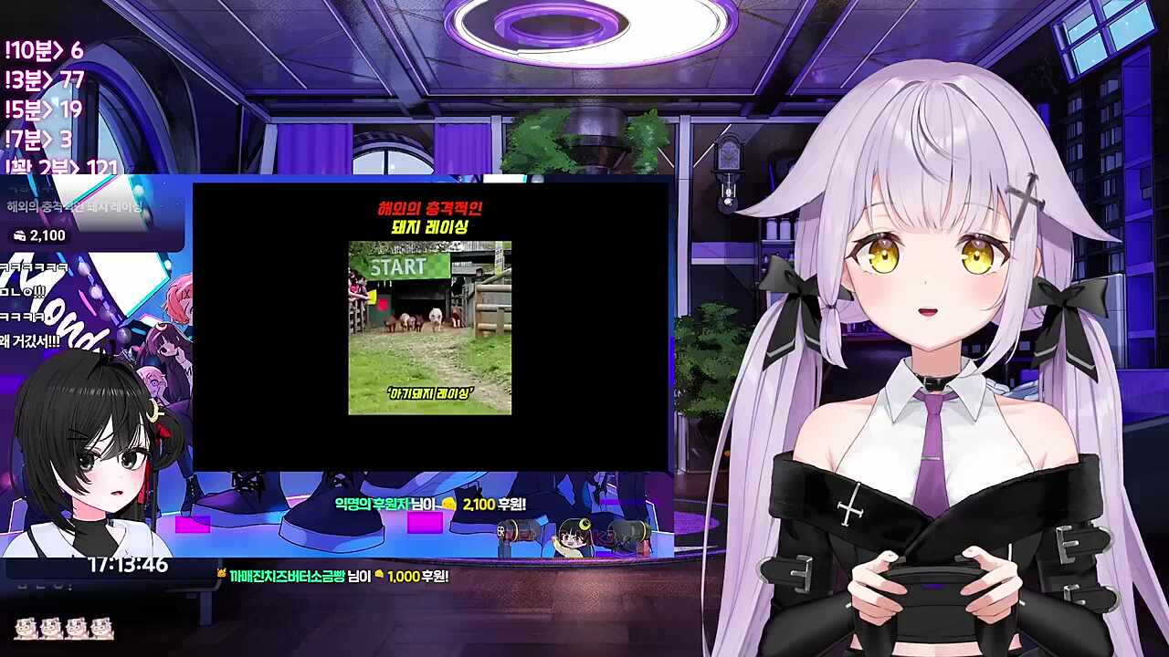 여러 대회에 나가더니 돼지레이싱까지