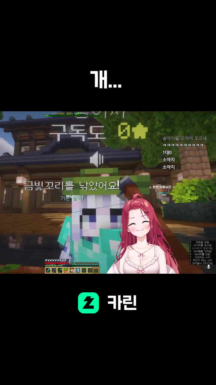 개... 