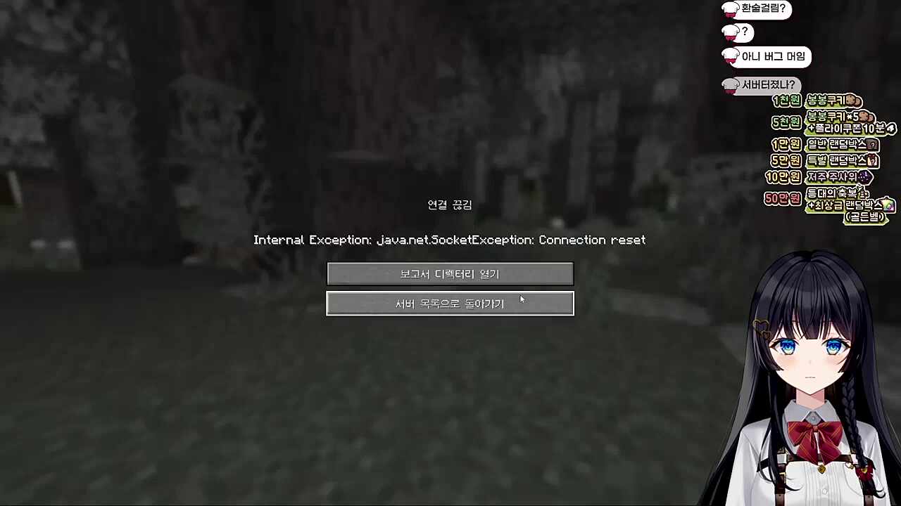 아니 내 새끼(파파야)들이!!!