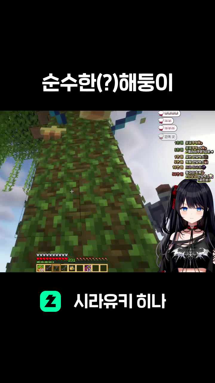 순수한(?)해둥이