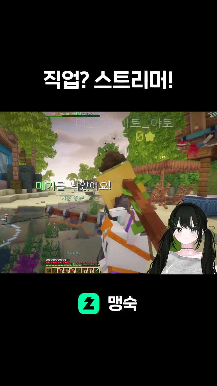 직업? 스트리머!