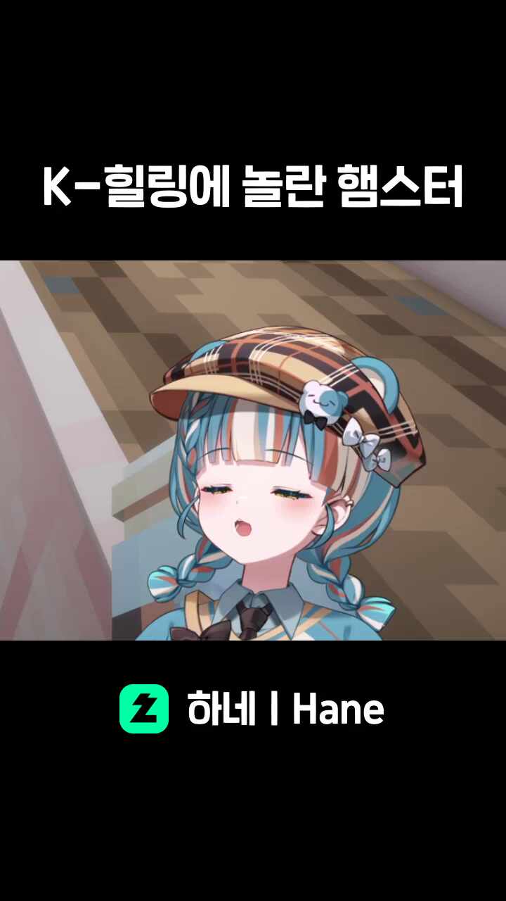 K-힐링에 놀란 햄스터