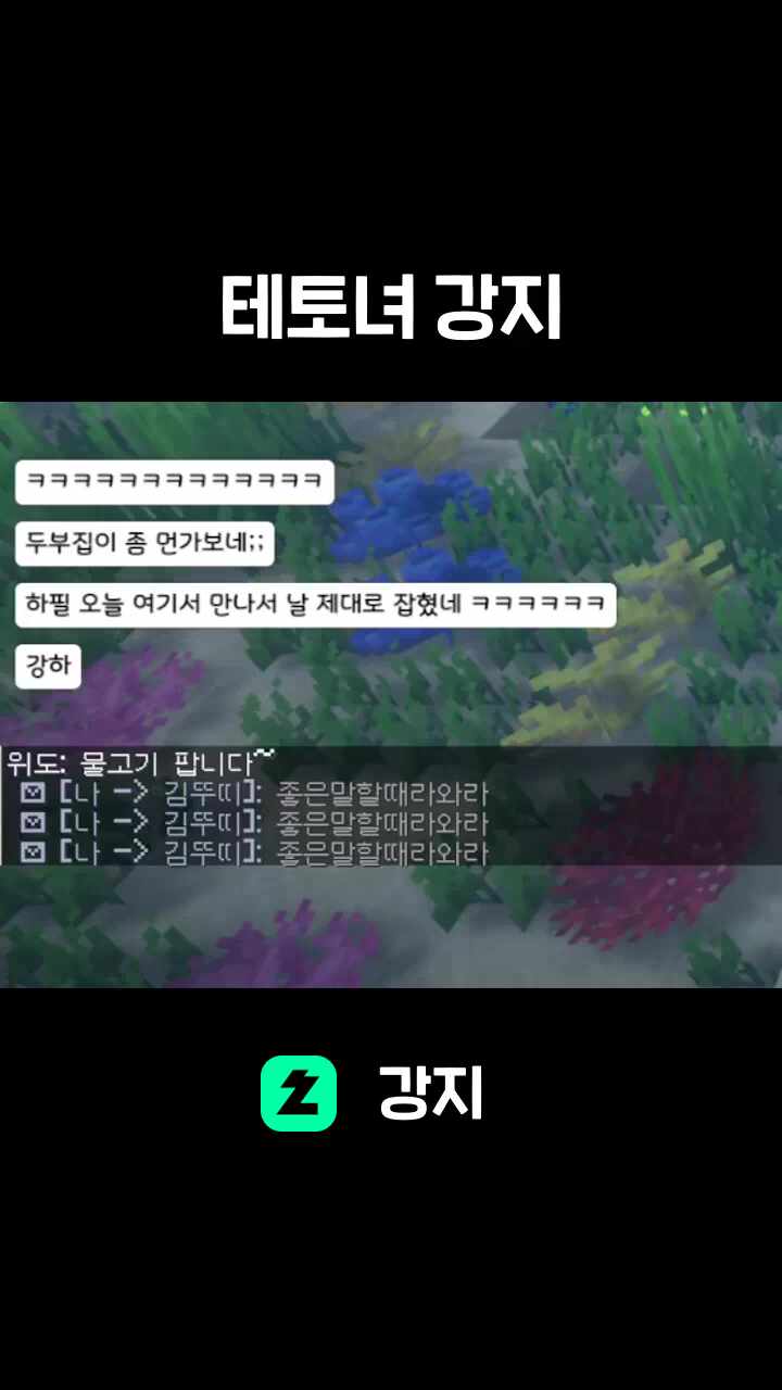 테토녀 강지