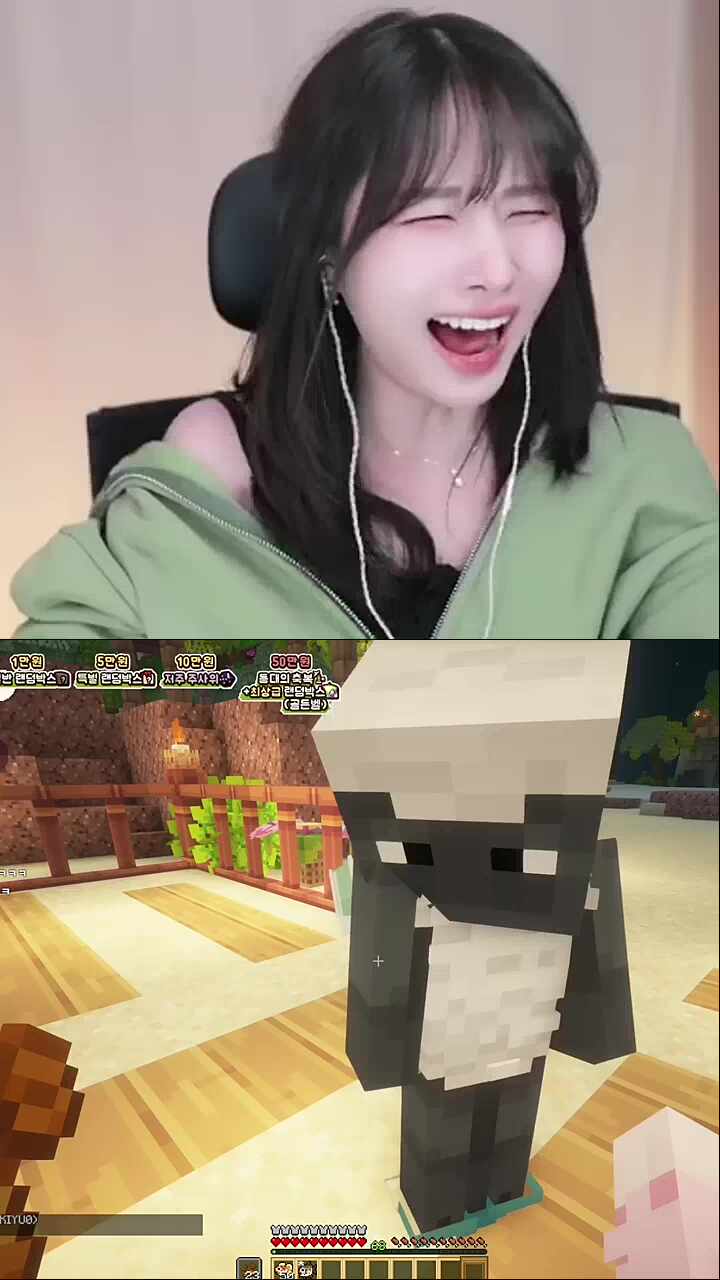 님 싸우실래요?