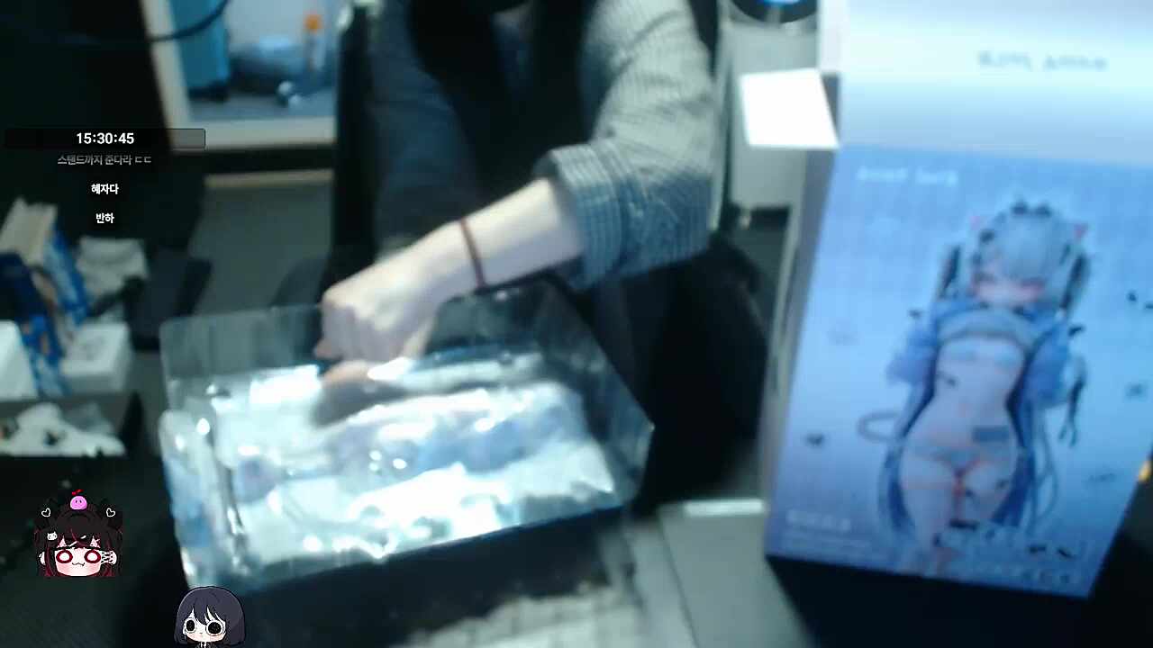 나는 프로 스트리머야!