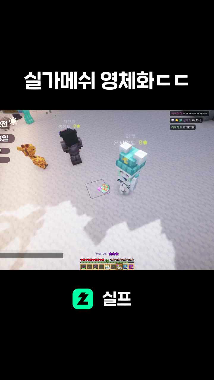 실가메쉬 영체화ㄷㄷ