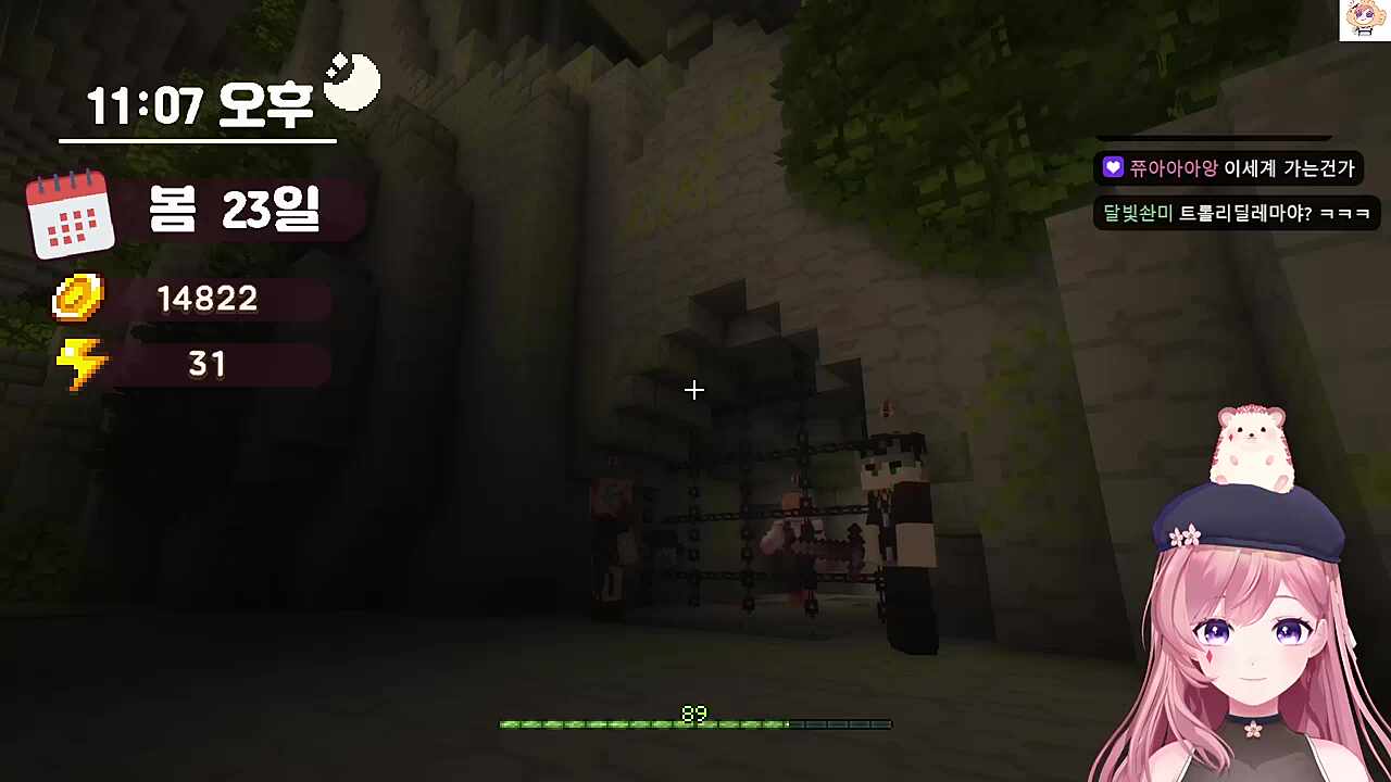 도태차비를 위한