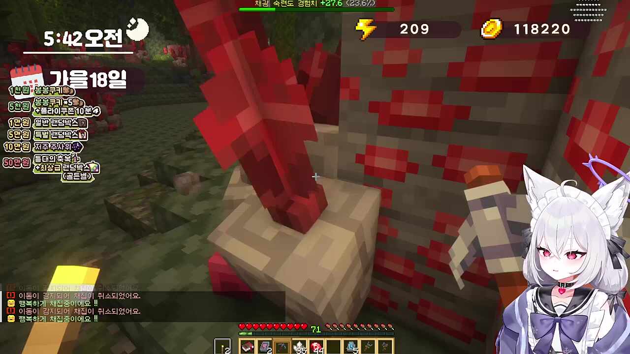 채현찌님과의 대화 (아님)