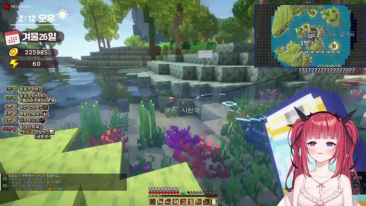 강아지를 키운다면 독케익vs뇨롱이