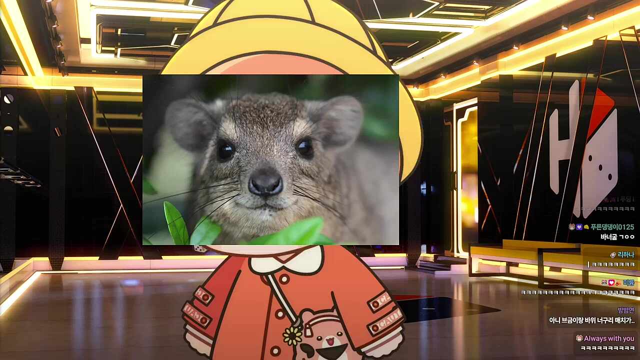 아왘웨윀엨와왘