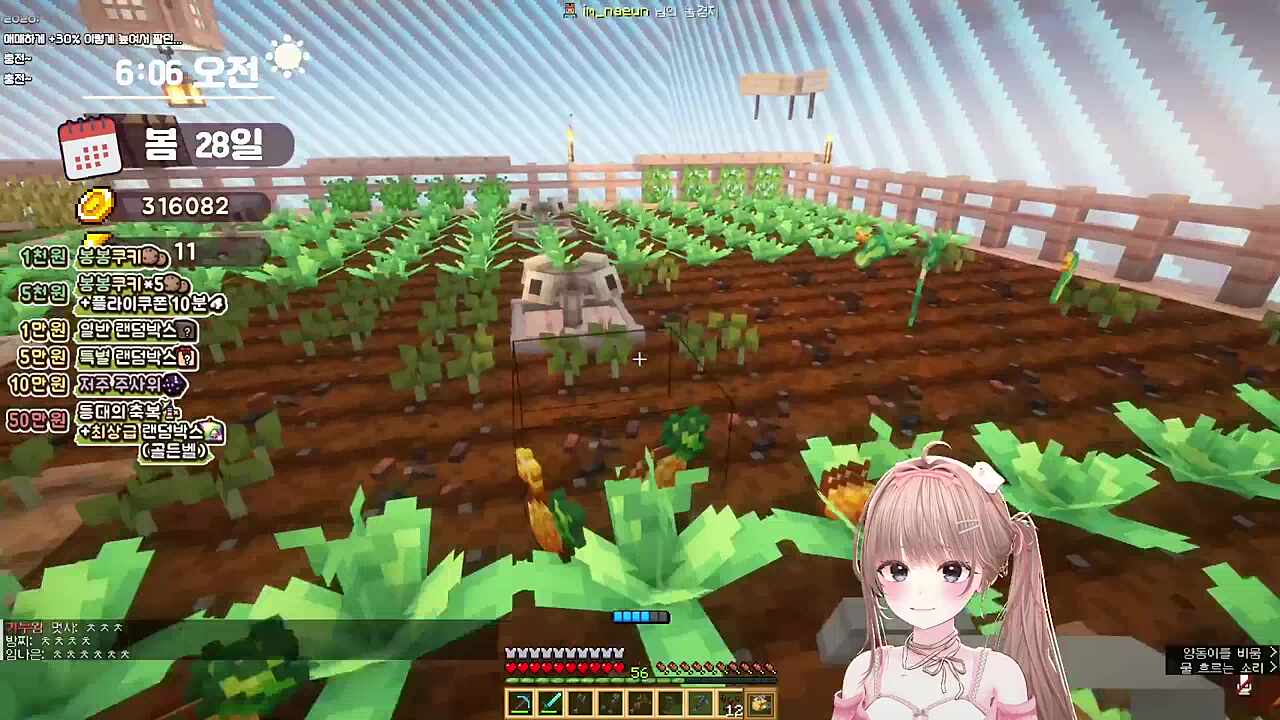 김실프 사기꾼 2